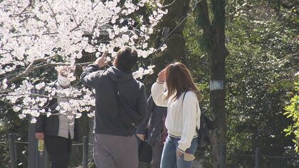 ソメイヨシノの開花 名古屋では「まだ数日かかりそう」　少し開いた蕾を確認も… 愛知の花見の名所では準備進む