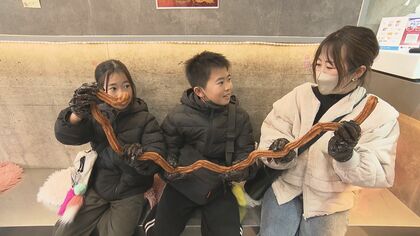 どうやって食べていいのか迷う…長さ100cm超もある『ドラゴンチュロス』“折れない持ち方”から店長が手ほどき