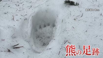 人間が作り出したモンスター」“忍者グマ”「OSO18」を生み出した