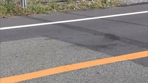 「人にぶつかった認識はない」保育士の女を逮捕　男性をひき逃げか　静岡・沼津市