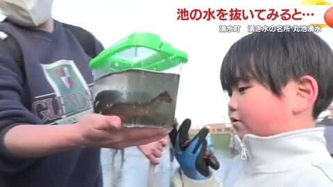  「池の水を抜いて大発見」子どもたちが丸池湧水の生き物調査、ウナギやアメリカザリガニも