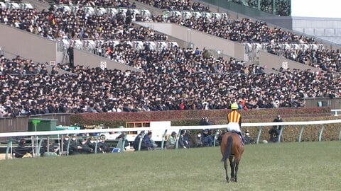 【フェブラリーS・GⅠ】 連覇か？初の女王誕生か？悲願か？待望のGⅠ開幕戦！ダートの頂点をかけた一戦に最強馬が集結