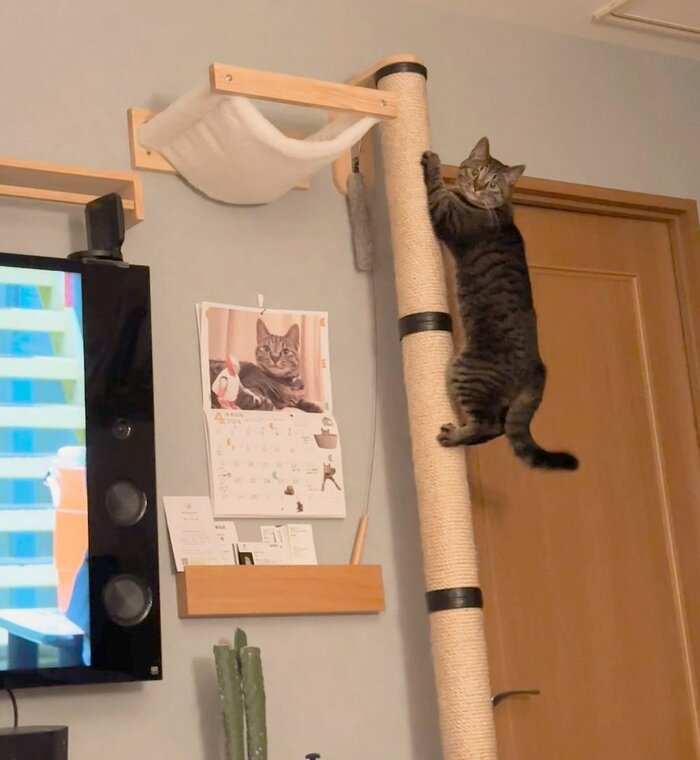 上までのぼることもできる