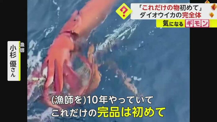(漁師 小杉優さん撮影)