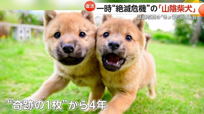 4年前にSNSで話題になった「奇跡の1枚」