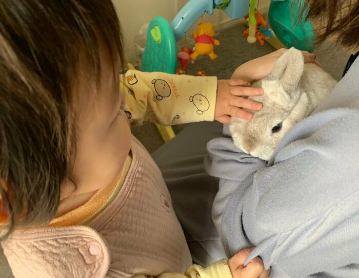 提供:うさぎと暮らしと。さん