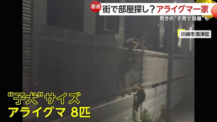不気味な目が撮影者を見据えた瞬間(FNN投稿サイト「ビデオPost」)(提供:榊原泰明)