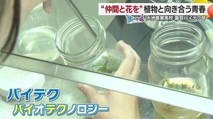 希少な植物も栽培