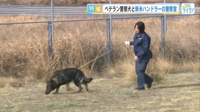 ベテラン警察犬のクリアと、若手警察官の岸夕鶴さん