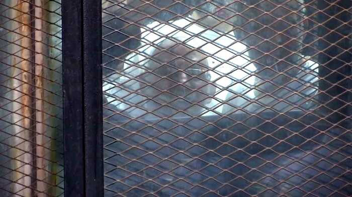 終身刑判決を受けたムスリム同胞団団長