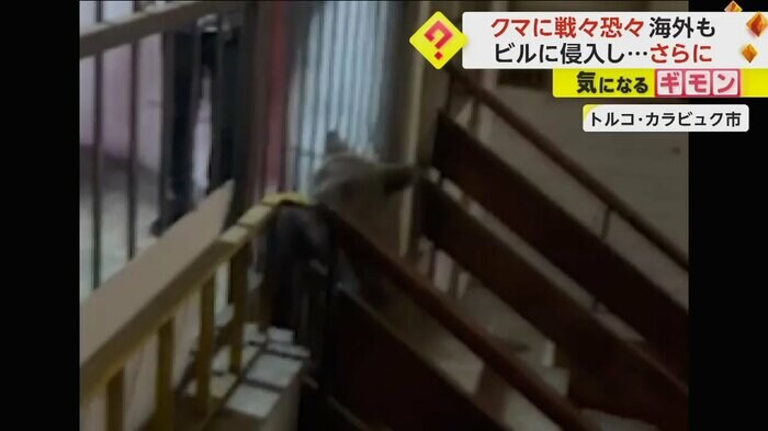 クマが男性を追いかける(IHA)