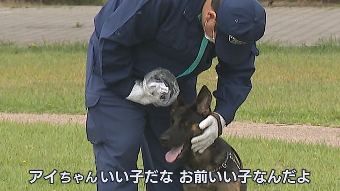 散歩中の他の犬に気を取られ…