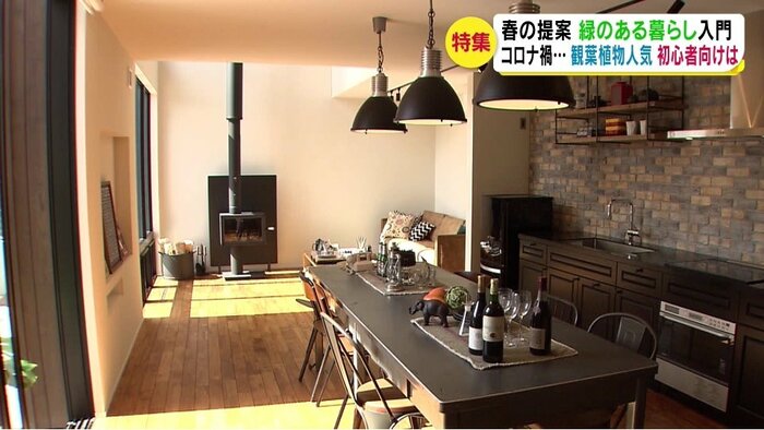 観葉植物を置く前