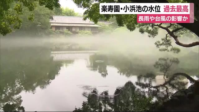 “昭和の時代の景色”よみがえる 楽寿園「小浜池」の湧き水が59年ぶり最高記録 静岡・三島市
