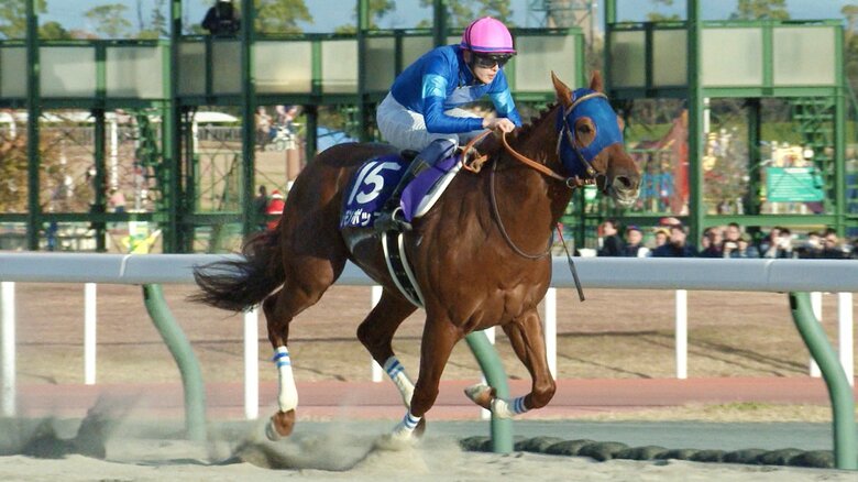 【チャンピオンズカップ・GⅠ】現役ダート最強馬へ！　坂井瑠星騎手・史上2頭目の連覇を狙うレモンポップと「最後の時間を楽しんで最高の結果を取りたい」｜FNNプライムオンライン