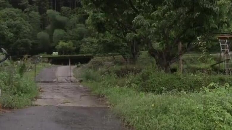 【速報】「馬が近くにいる」19日に基山町から逃げ出した馬を福岡・筑紫野市で無事捕獲【佐賀県】｜FNNプライムオンライン