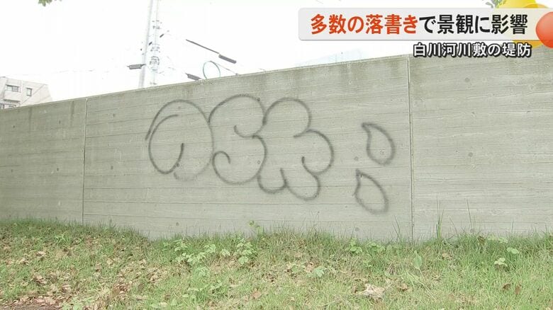 「大変悪質な行為」完成間もない熊本市の堤防に落書きが16カ所　国交省が警察に被害届提出｜FNNプライムオンライン