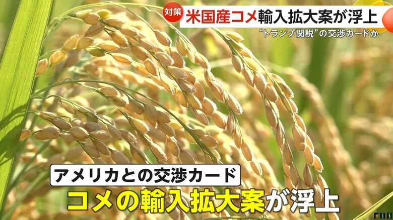 「米で対策をしないと終われない」“トランプ関税”の交渉カードにアメリカ産“米輸入拡大案”…農家反発「日本の米使って欲しい」｜FNNプライムオンライン