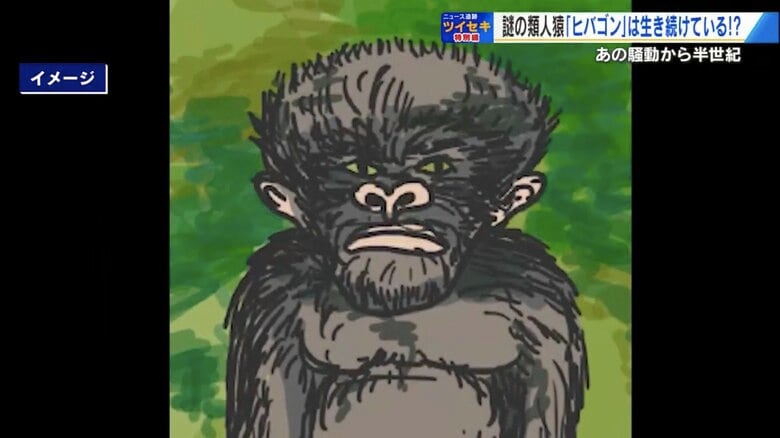 消息途絶え半世紀…「令和のヒバゴン」出没か？　新たな目撃証言が相次ぎ 55年目の再始動【広島発】｜FNNプライムオンライン