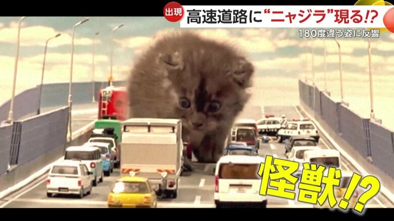 「レインボーブリッジを封鎖しろ！」“高速道路”にゴジラならぬ“ニャジラ”現る！「かわいすぎる！」生後約1カ月子ネコの成長記録が話題｜FNNプライムオンライン