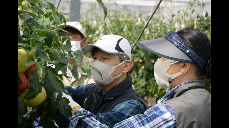 御料牧場に滞在されている際のご一家の写真が公開された（宮内庁提供）