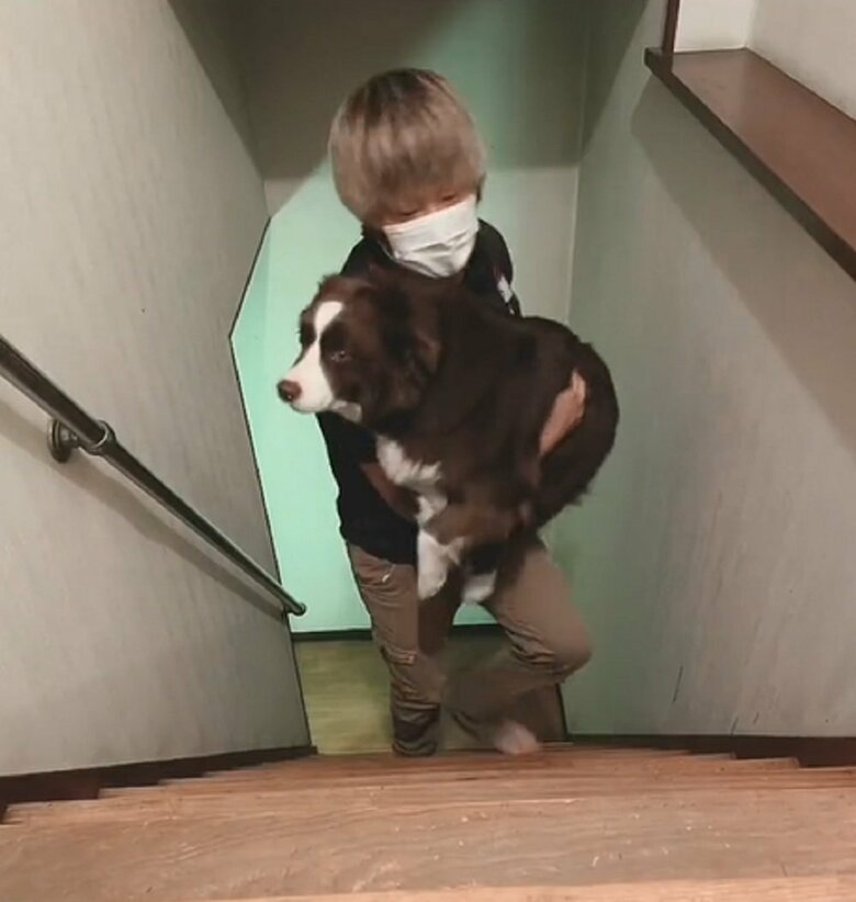 テールちゃんは階段を上れないという