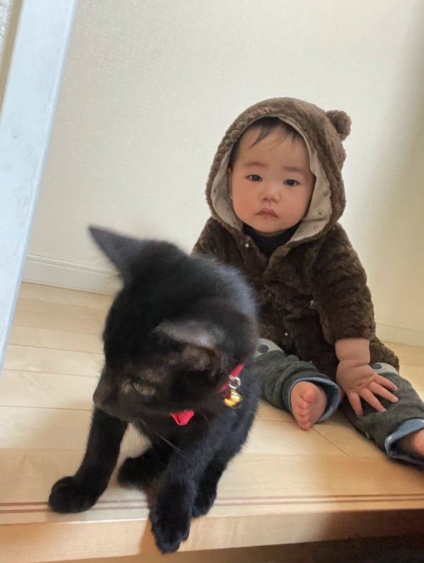 提供：ゴンゾウR4さん