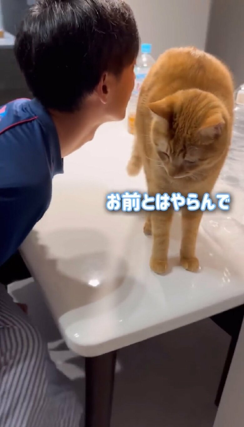 「お前とは（ちゅうは）やらんで」といった分かりやすいとらまるくんだった