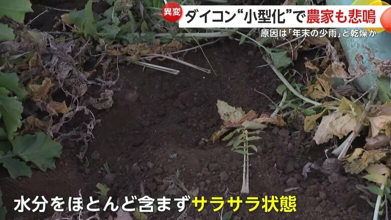 土は水分をほとんど含まずサラサラした状態