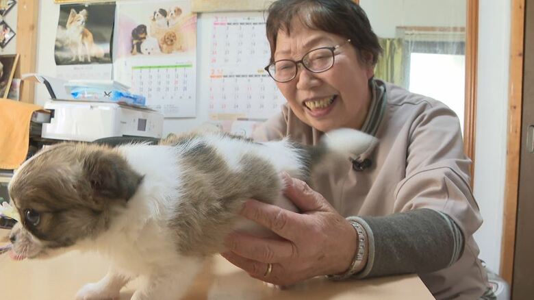 個人でブリーダー業を営む小野キミ子さん