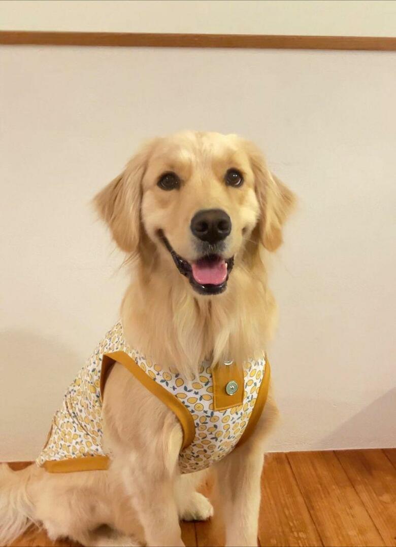 提供：エマさん