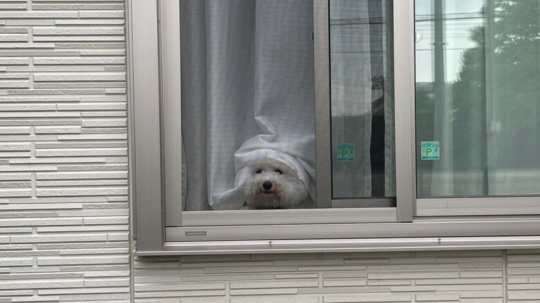 別の日にはこんなことも