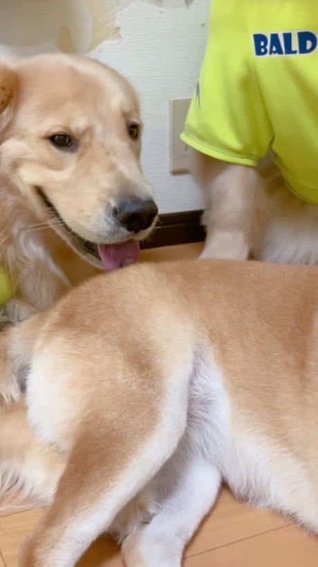 提供：ムックパパさん