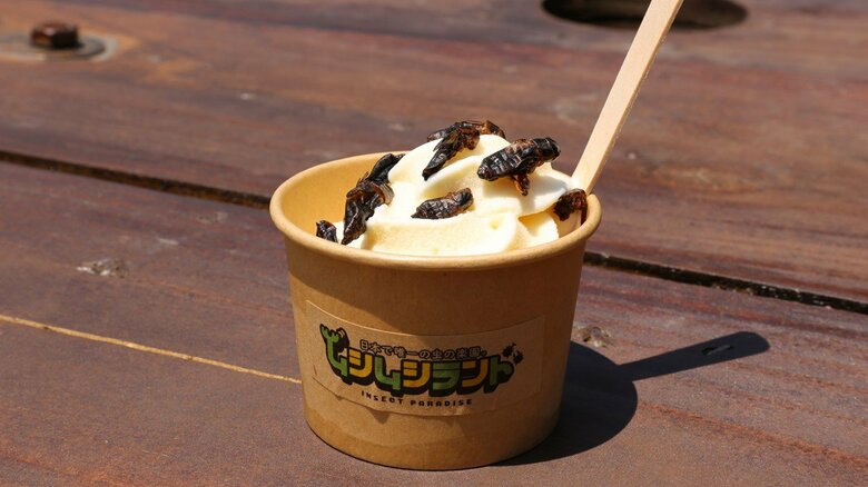 コオロギソフトクリーム　600円（ソフトクリーム350円＋コオロギトッピング250円）