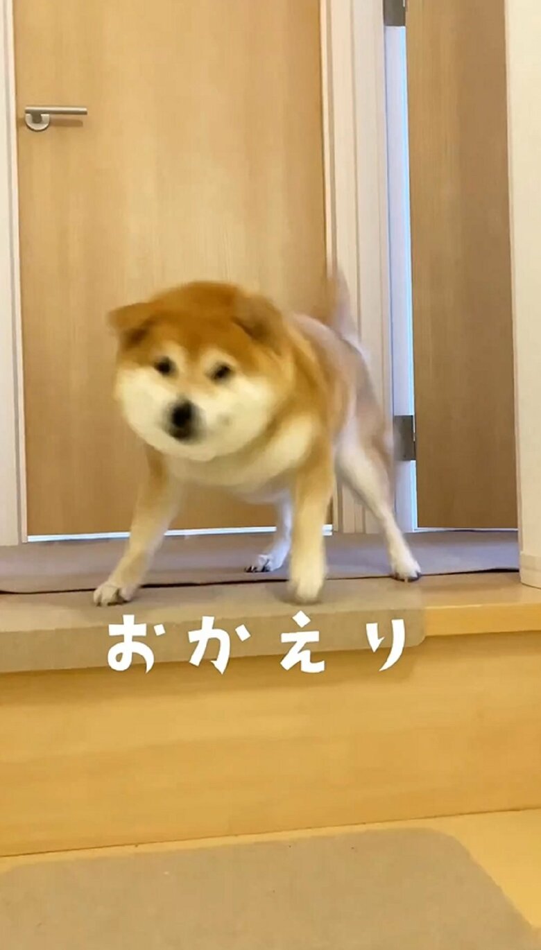 体を震わせながら「おかえり！」