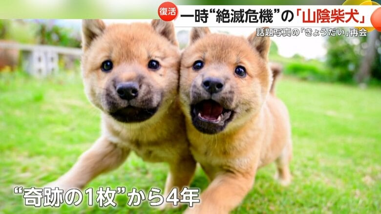 4年前にSNSで話題になった「奇跡の1枚」