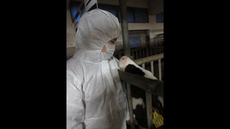 御料牧場に滞在されている際のご一家の写真が公開された（宮内庁提供）