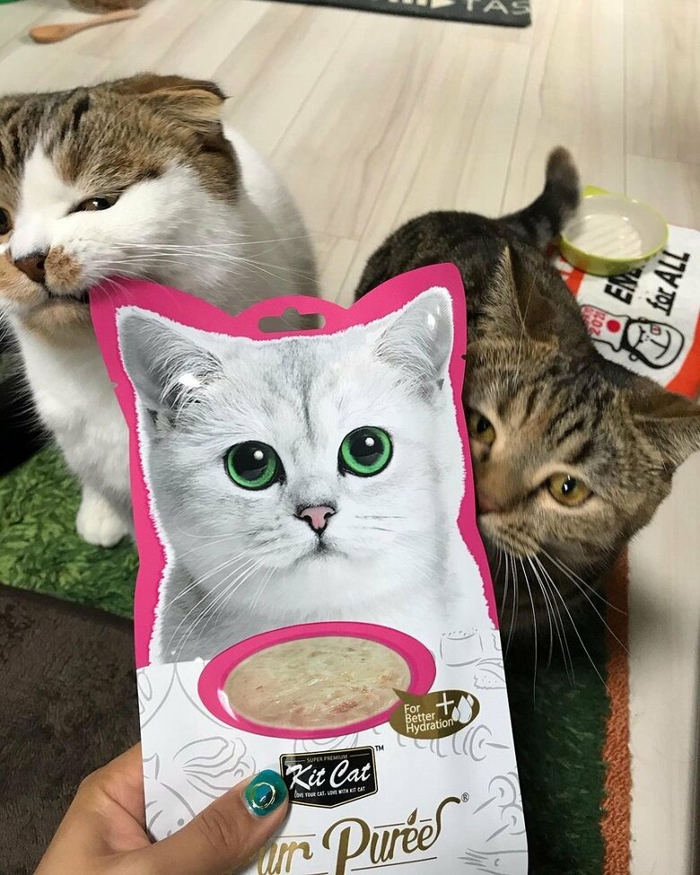 おやつ