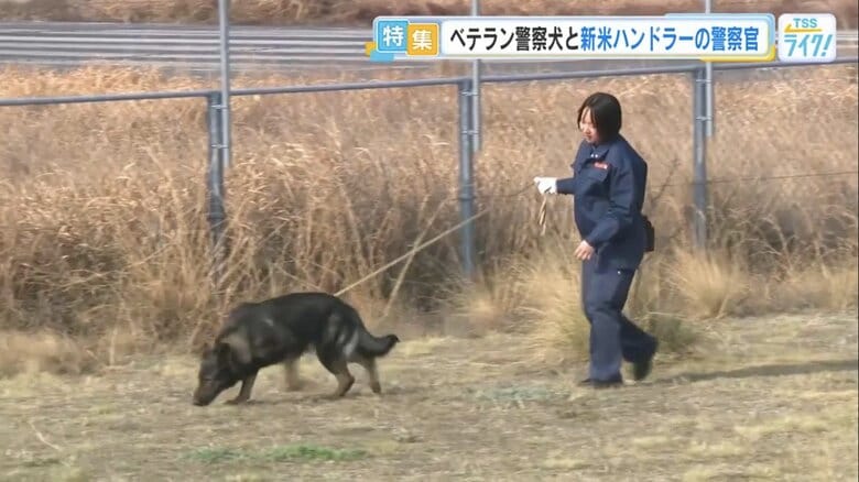 ベテラン警察犬のクリアと、若手警察官の岸夕鶴さん