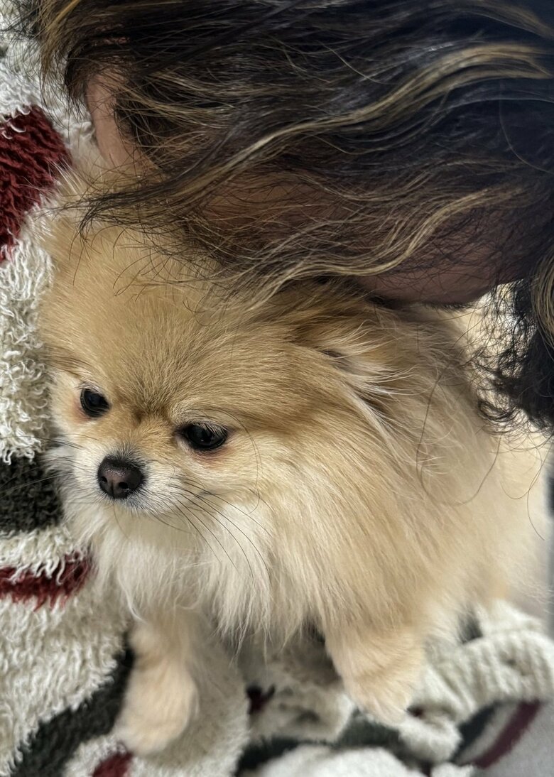 飼い主さんに吸われて虚無顔