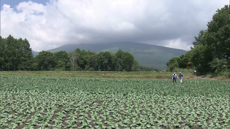 令和7（2025）年7月　軽井沢で静養された上皇ご夫妻