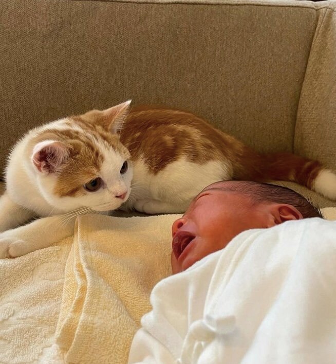 提供：こなつさん