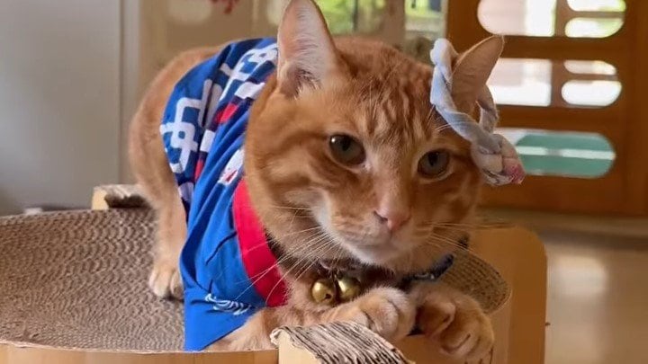 隊長としてイベントを盛り上げた