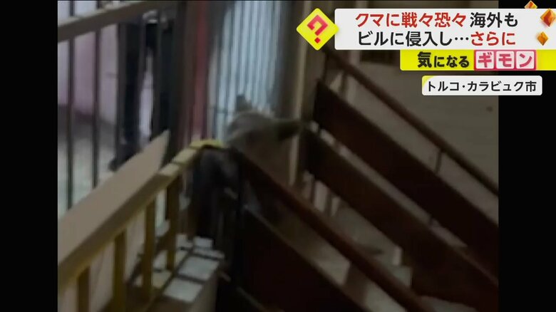 クマが男性を追いかける（IHA）