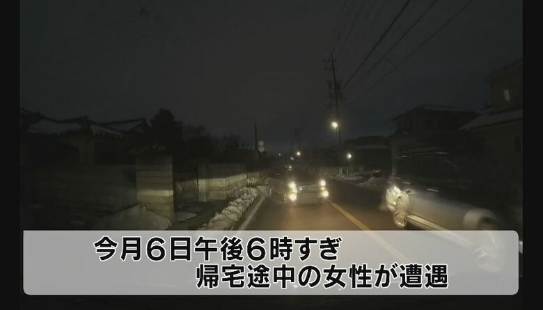 帰宅途中の女性が遭遇（視聴者提供）