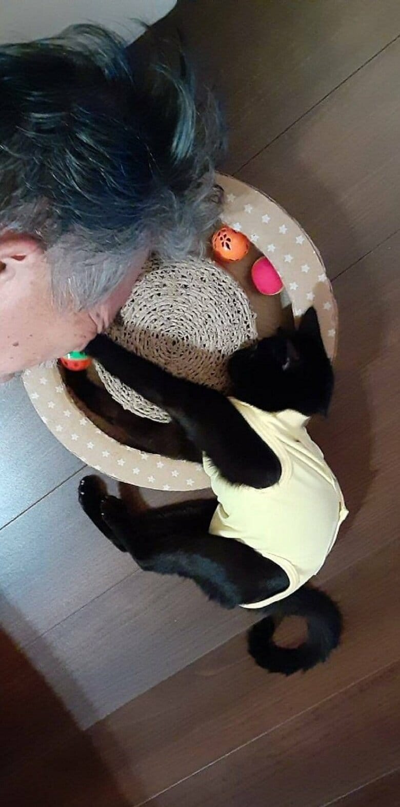 パンチ