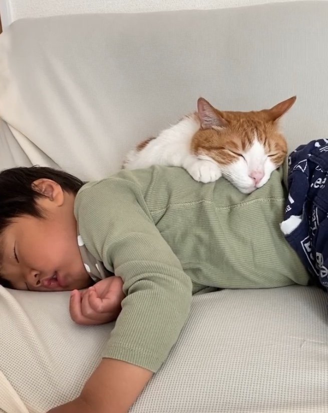 提供：Hassakuさん