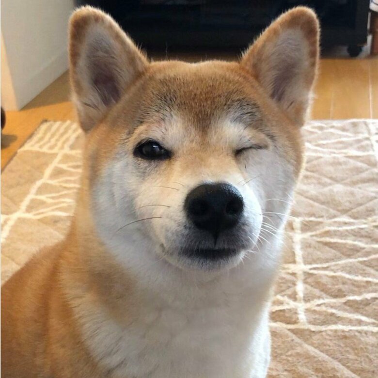 大きくなっても愛らしさは変わらない