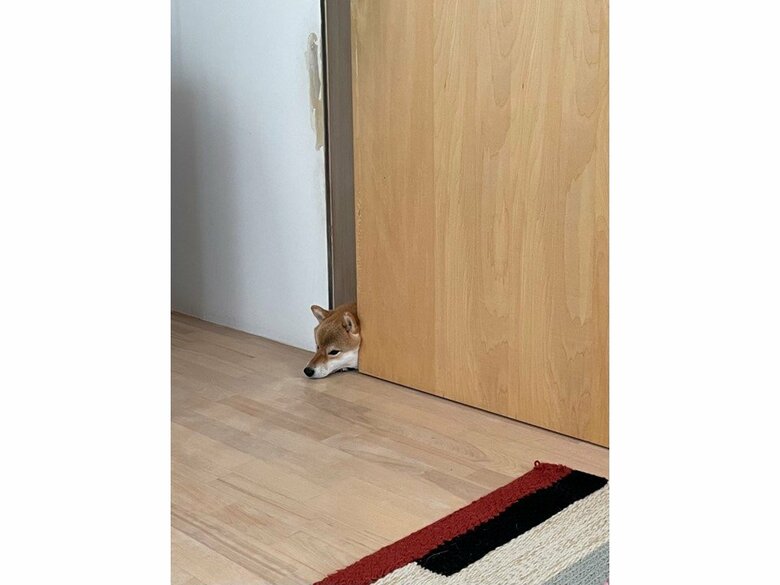 ちょっと引きで