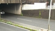 車横転で10代男性2人死亡　男子高校生を逮捕